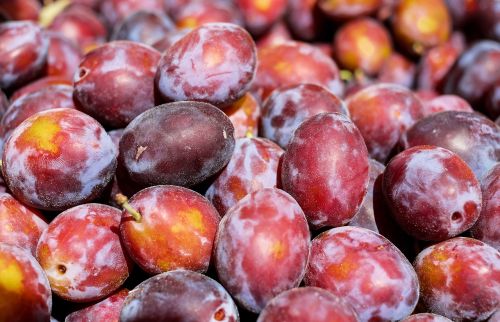 plum fruit fruits