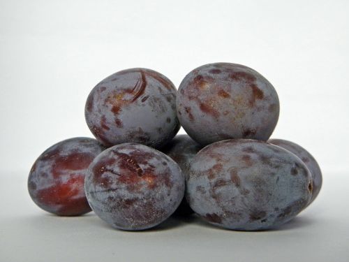 plum plums berries