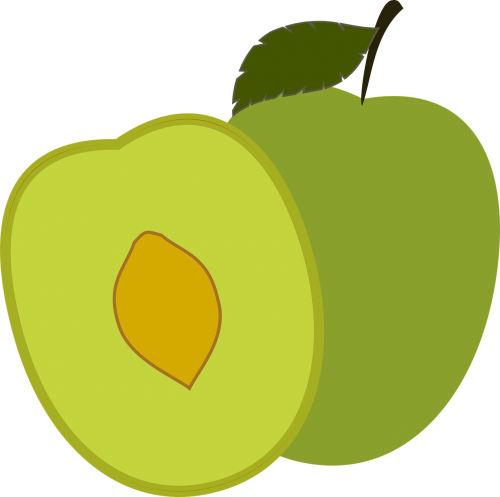 plum greengage fruit