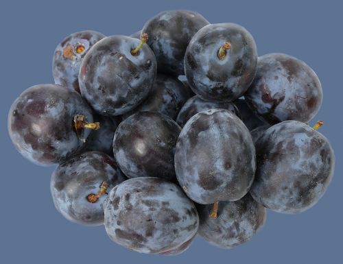 plum fruit stone fruit