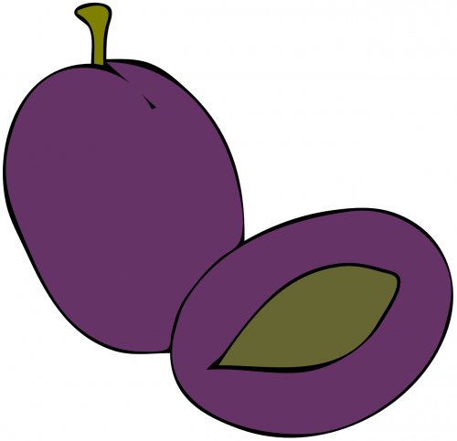 plum purple fruit