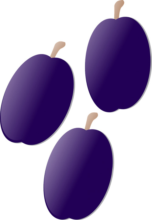 plum purple fruit