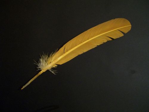 Yellow Feather