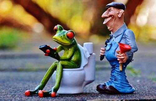 plumber frog loo