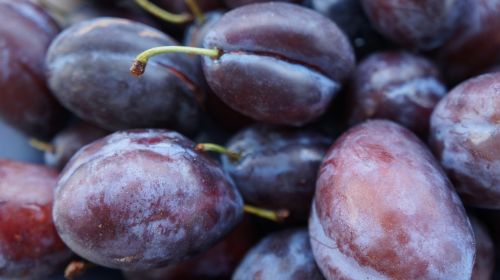 plums fruit healthy