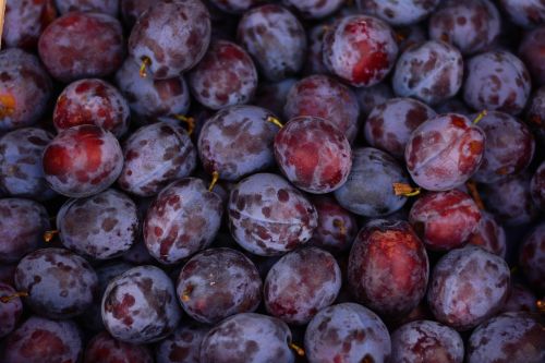 plums fruit ripe