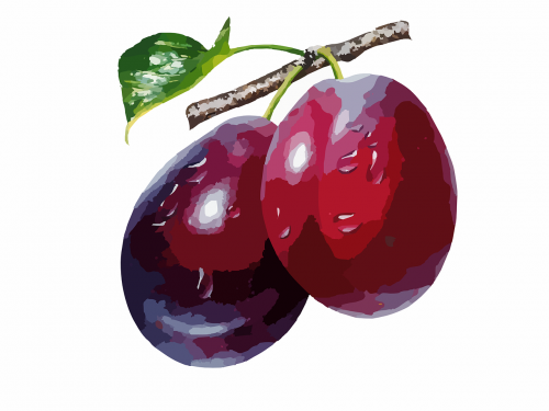 plums food fruit