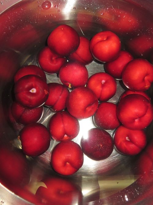 plums bucket fruits