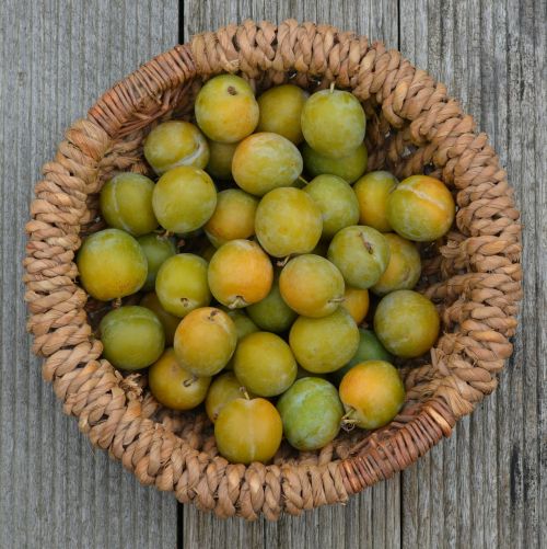 plums basket fruit