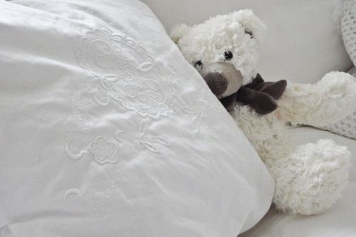Plush Teddy Bear With Pillow