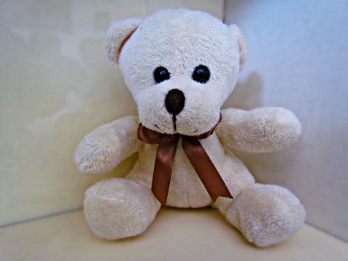 plush teddy bear toy