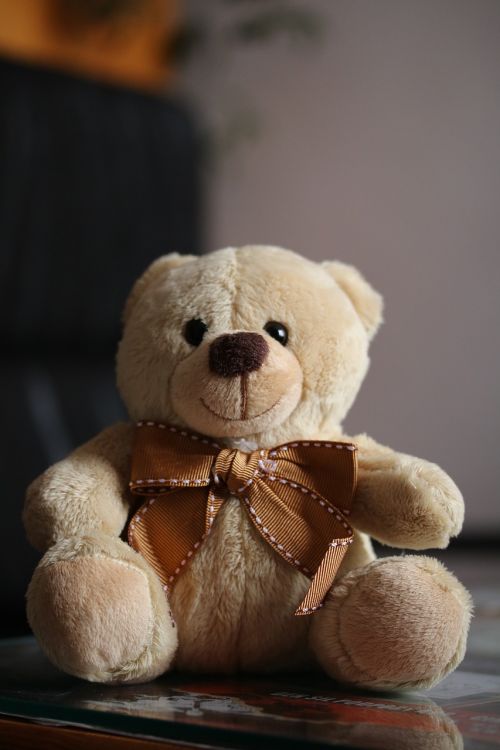 plush teddy bear cute
