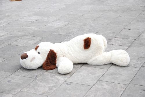 plush dog street