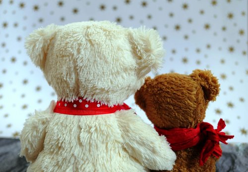 plush toys  bears teddy bears  friendship