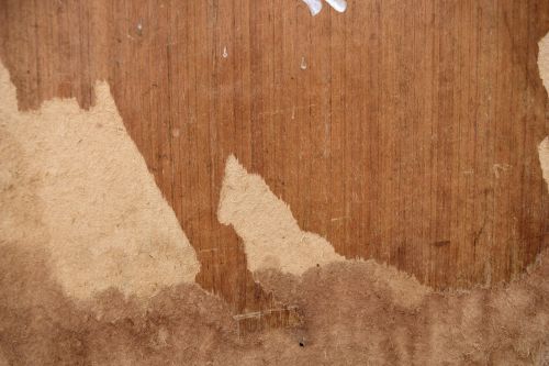 Plywood Decay 1