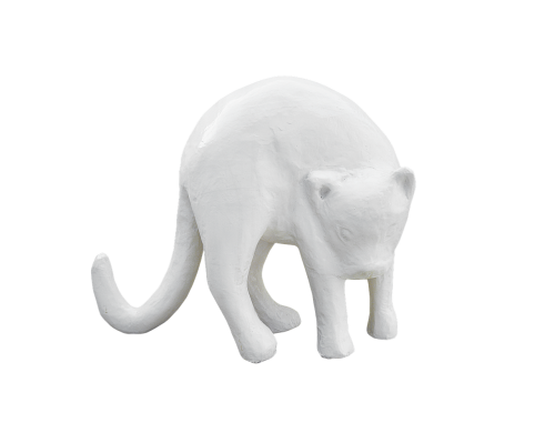 png cat plaster