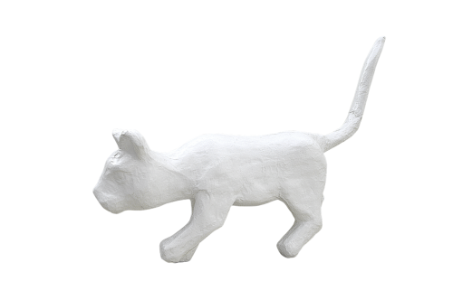 png white cat cat