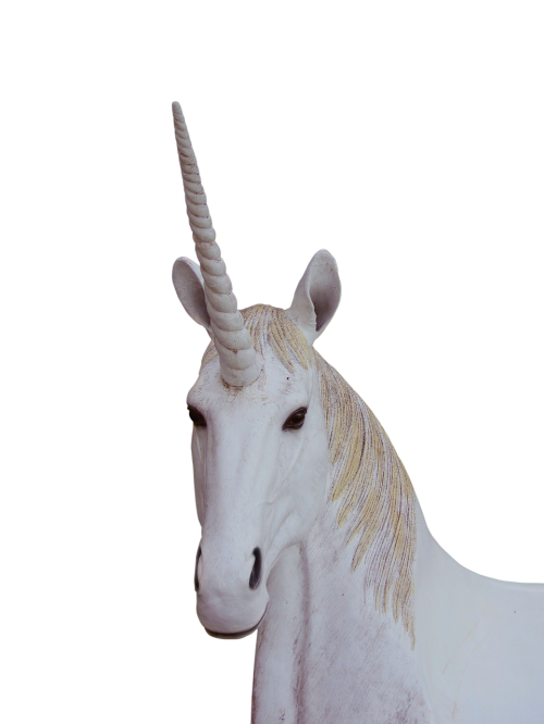 png unicorn animal magic
