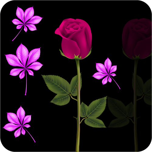 png image flower flowers