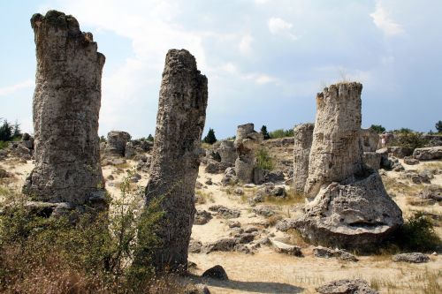 pobiti kamuni forest stone