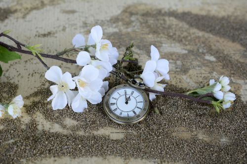 pocket watch time of sand