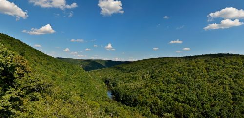 podyjí national park moravia green