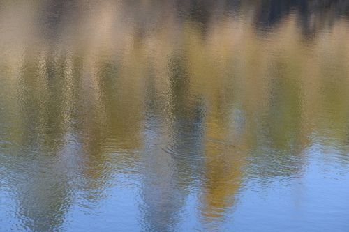 Autumn On The Pond 1