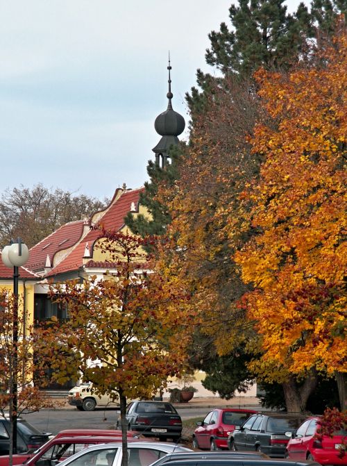Autumn In Borovany