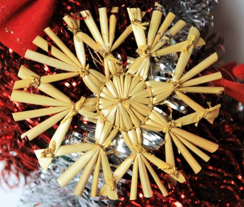 poinsettia christmas christmas decoration