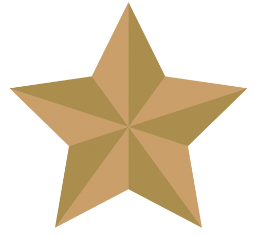poinsettia star gold