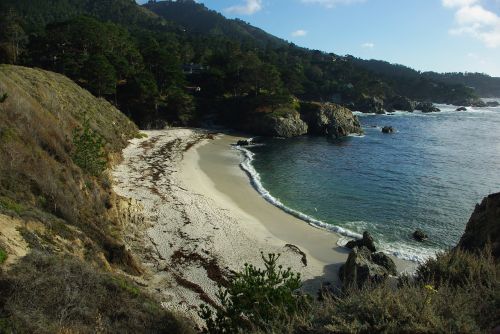 point lobos ocean beach