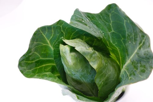 pointed cabbage  kohl  food