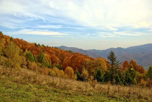 poland pieniny autumn