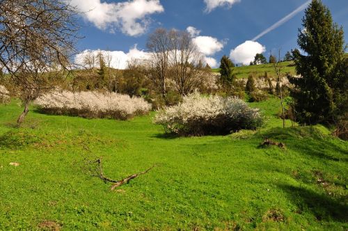 poland pieniny white water