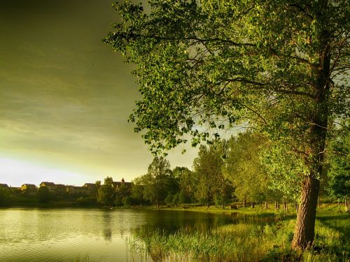 poland lake reflections