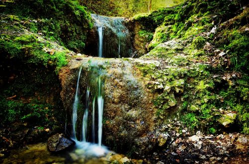 poland valley bolechowicka nature