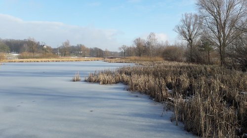 poland  wilderness  nature