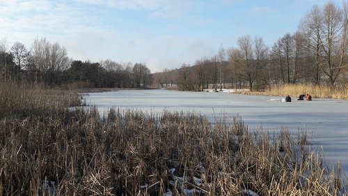 poland  wilderness  nature