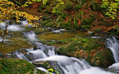 poland  bieszczady  stream hylaty