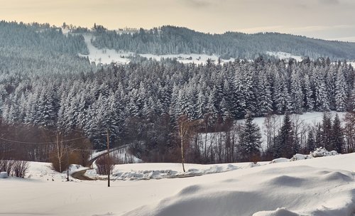 poland  island beskids  landscape