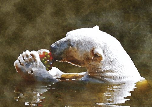 polar bear diet watercolor