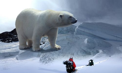 polar bear glacier hike