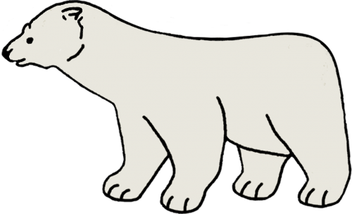 polar bear snow winter
