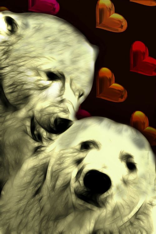 polar bear heart background