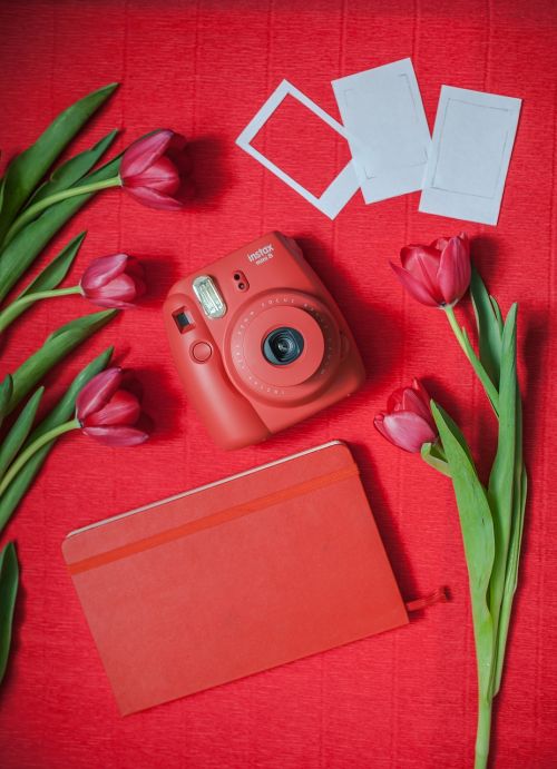 polaroid camera tulip