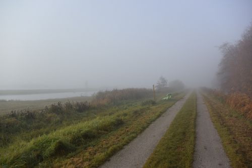 polder landscape fog