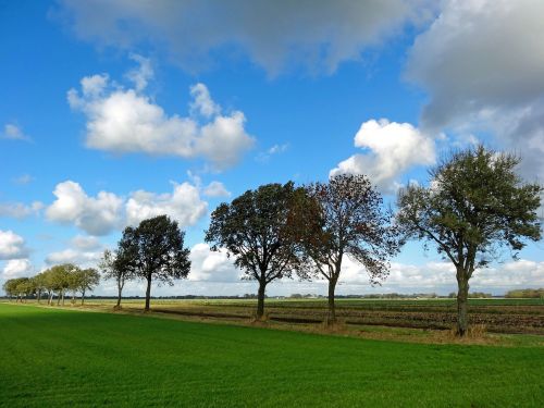 polder halfweg landscape