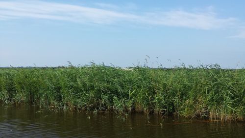 polder nature noord-holland