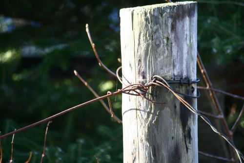 pole wood wire