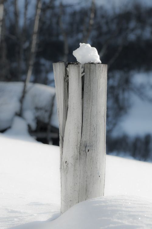 pole snow winter